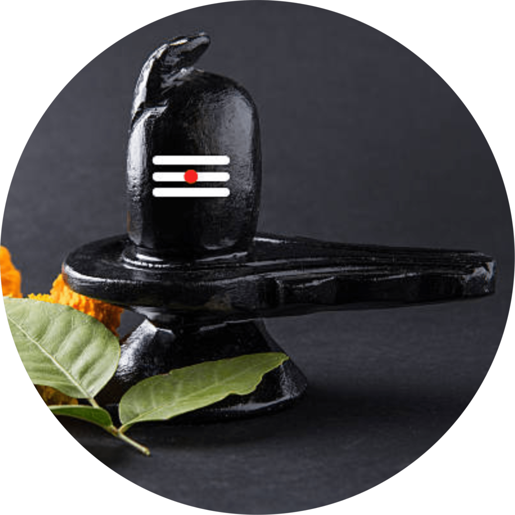 Shivling Statue Collection God Statues